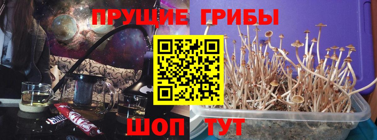 Псилоцибиновые грибы мухоморы  Вход с VPN  Туймазы  Псилоцибиновые грибы GOLDEN TEACHER 